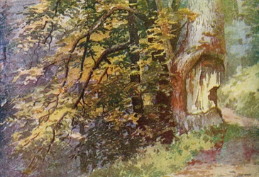 Auf der Circular Road, Gulmarg